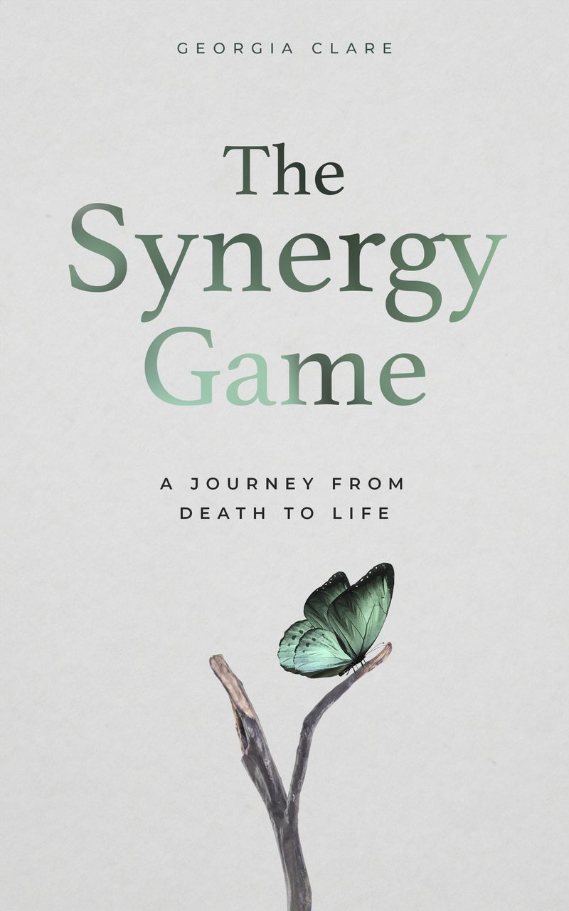 The Synergy Game book cover